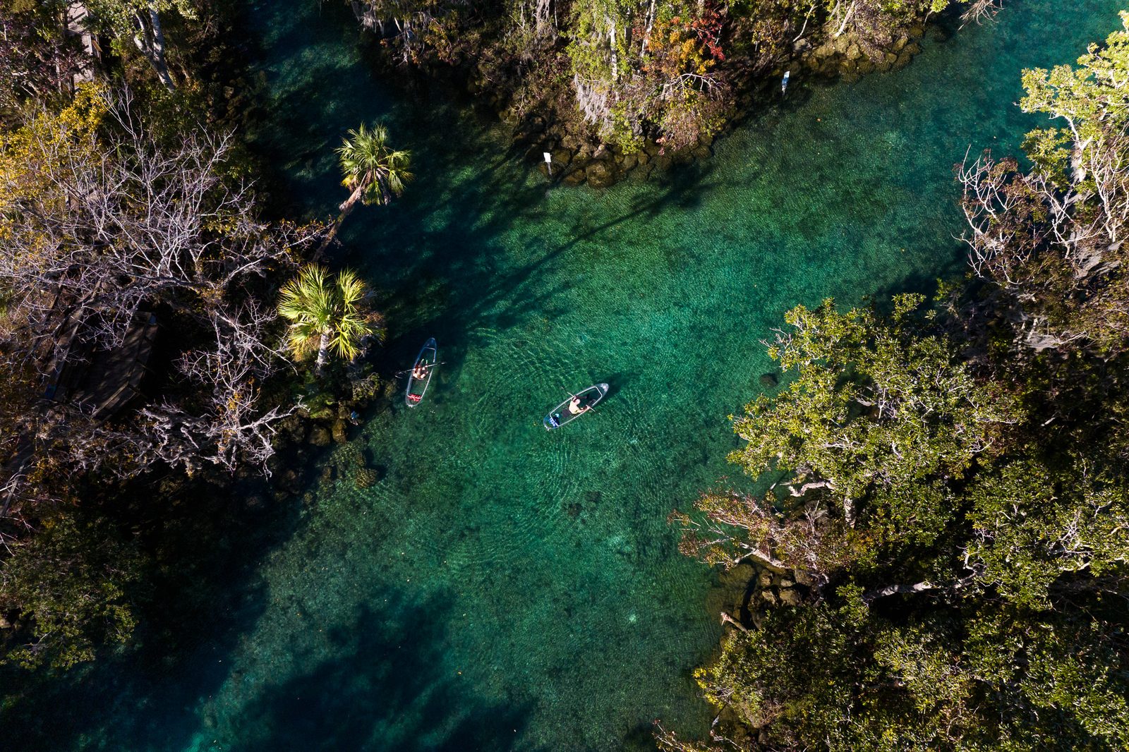 Kayakers on a clear Florida spring seen straight down from above, turquoise water through the trees